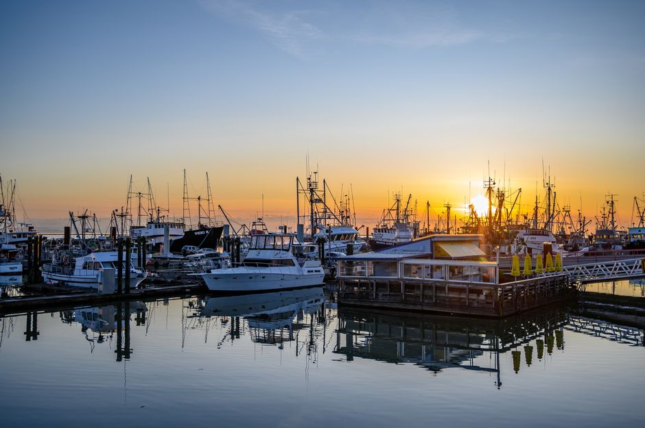 A tranquil harbor scene at sunset with numerous white and blue motorboats and sailboats docked along wooden piers. The boats have tall masts and rigging, with some boats covered with protective tarps.